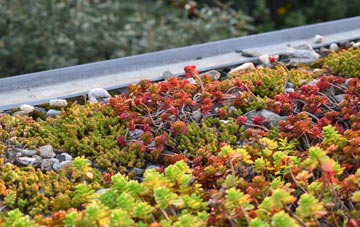 the cost of Wells green roof installation